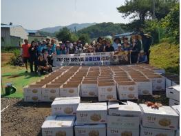 양주시 회천1동, 이웃돕기 성금마련을 위한 감자 수확 행사 개최 기사 이미지
